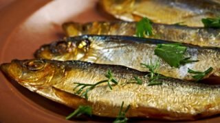 قبل شم النسيم 2026.. أعراض التسمم من الرنجة والفسيخ والإسعافات الأولية
                             – الخليجي نت