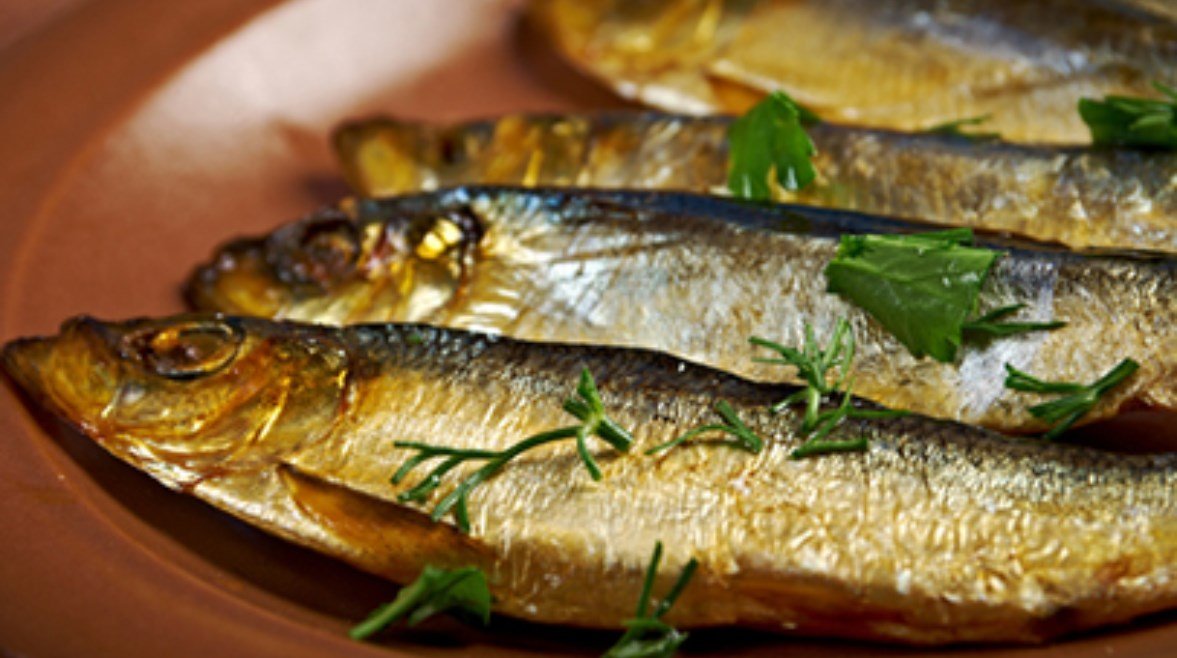 قبل شم النسيم 2026.. أعراض التسمم من الرنجة والفسيخ والإسعافات الأولية
– الخليجي نت