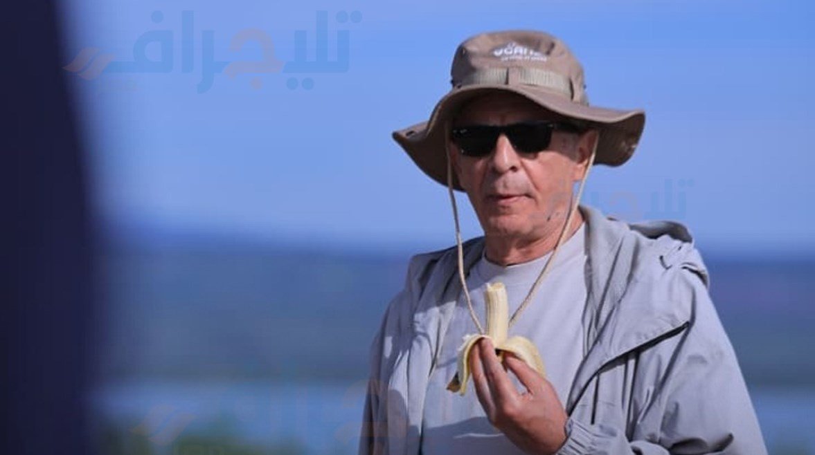 "تليجراف مصر" من قلب غابات أوغندا.. مغامرة البحث عن الغوريلا في أعالي الأدغال – الخليجي نت