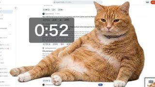 "ممنوع المرور".. قطة ذكية تمنعك من ضياع وقتك على "فيسبوك" و"إكس" – الخليجي نت