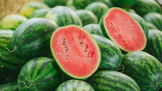 حقيقة وجود سموم وهرمونات في البطيخ.. باحثة بـ"البحوث الزراعية" تحسم الجدل – الخليجي نت
