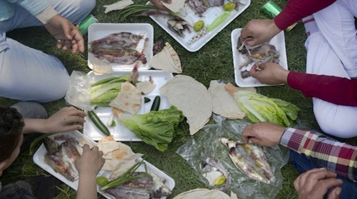 بدائل صحية للفسيخ والرنجة في شم النسيم.. استمتع بالاحتفال دون مخاطر – الخليجي نت