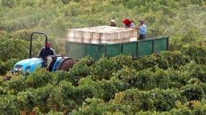 المغرب يتوقع نموا بـ 4.7% في الربع الثاني – الخليجي نت