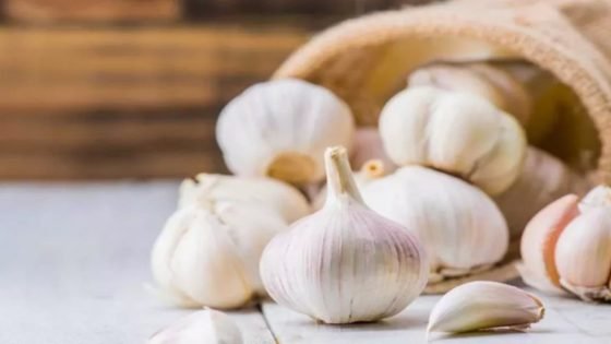 هل الثوم يطرد الذباب؟.. دراسة تجيب – الخليجي نت