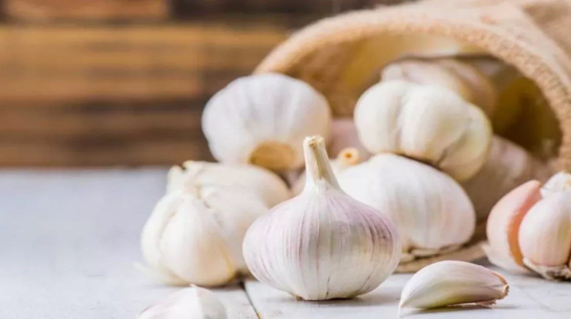 هل الثوم يطرد الذباب؟.. دراسة تجيب – الخليجي نت