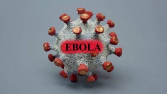 أقل فتكًا أم أكثر ذكاءً؟.. 5 اختلافات حاسمة بين إيبولا القديم والسلالة الجديدة – الخليجي نت