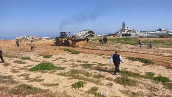 من 9300 إلى 400 هكتار فقط.. خطة طوارئ لإنقاذ ما تبقى من سلة غزة الغذائية – الخليجي نت